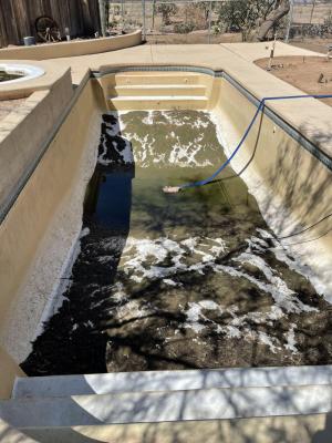 Chandler Weekly Pool Cleaning - Pool Repair - Acid Washing Pool Services